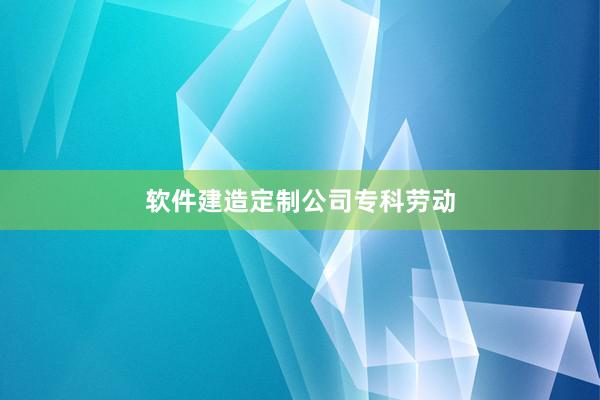 软件建造定制公司专科劳动
