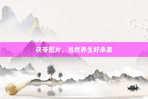 茯苓图片,当然养生好承袭