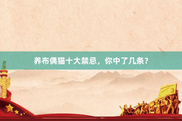 养布偶猫十大禁忌，你中了几条？