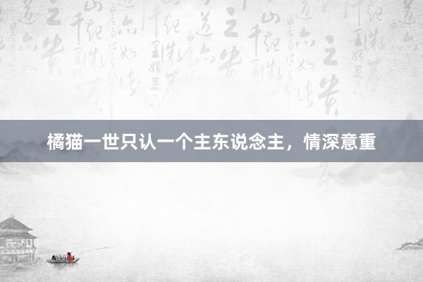 橘猫一世只认一个主东说念主，情深意重