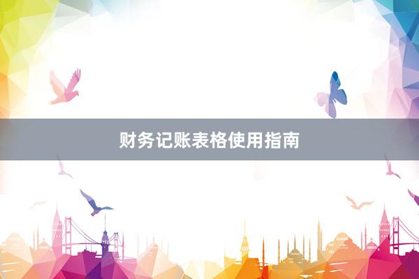 财务记账表格使用指南